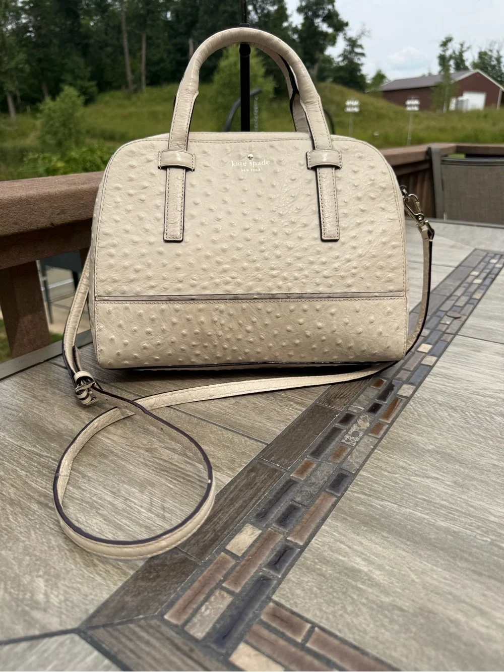 GUC Kate Spade Riverside Street Ostrich Small Felix Satchel Crossbody Bag